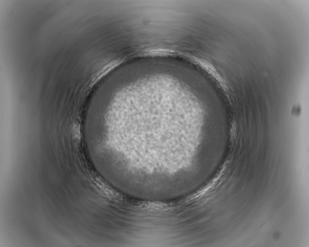 X0000098201209200805081103