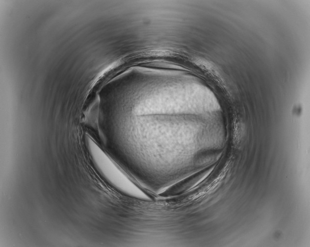 X0000098201210200805081103