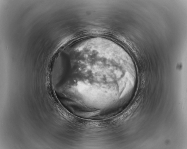 X0000098201211200805081103