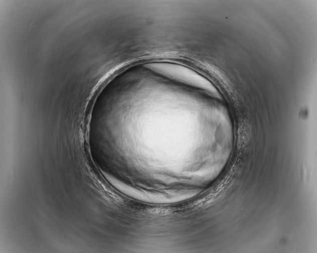 X0000098201212200805081103