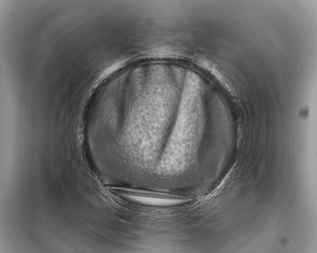 X0000098201213200805081103