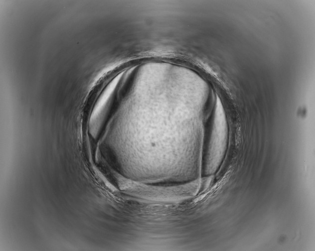 X0000098201214200805081103
