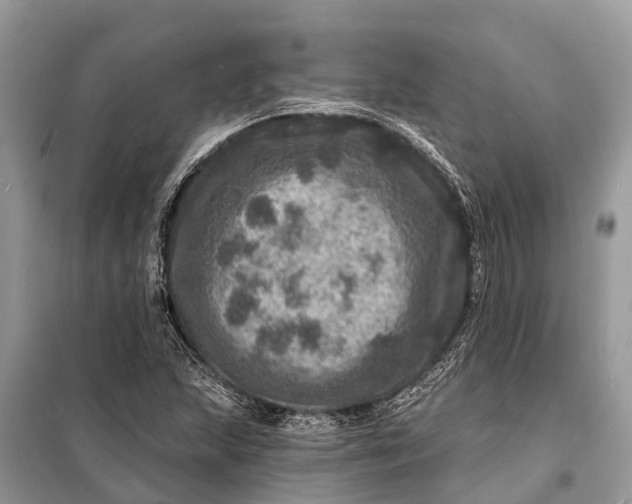 X0000098201215200805081103