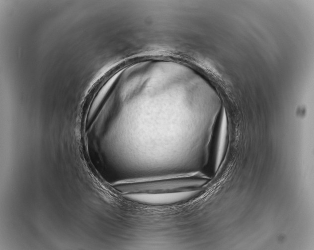 X0000098201216200805081103