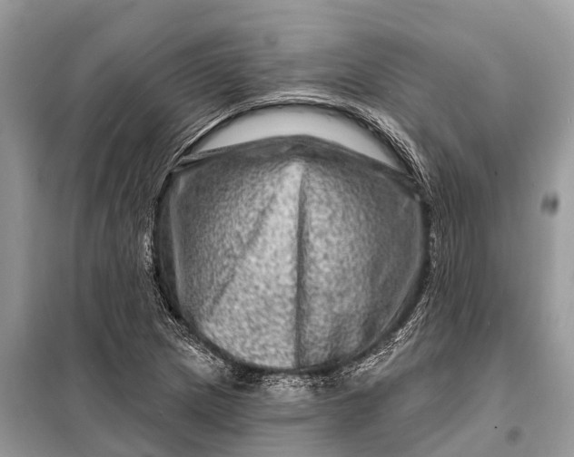 X0000098201217200805081103