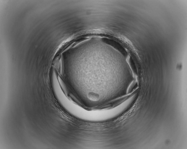 X0000098201218200805081103