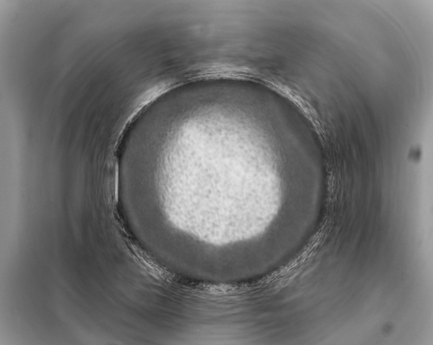 X0000098201219200805081103