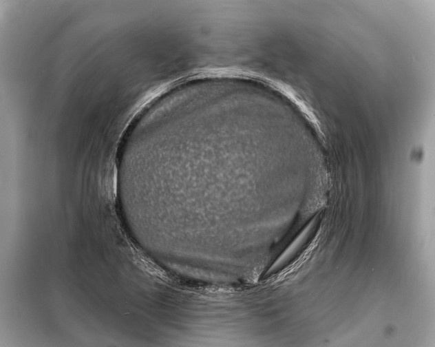 X0000098201221200805081103
