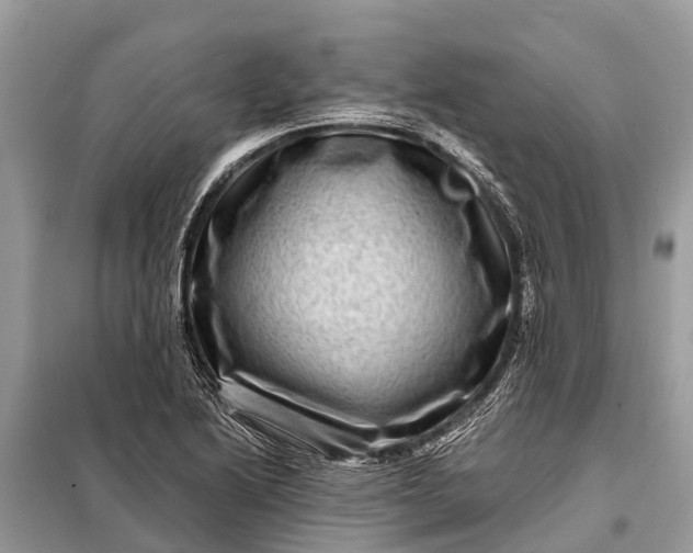 X0000098201222200805081103