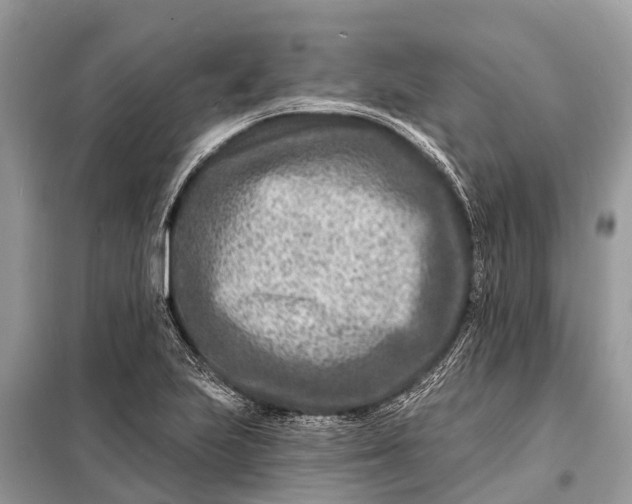 X0000098201223200805081103