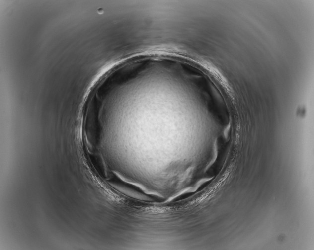 X0000098201224200805081103
