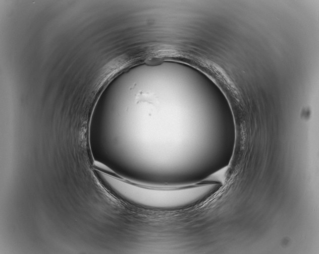X0000098201225200805081103