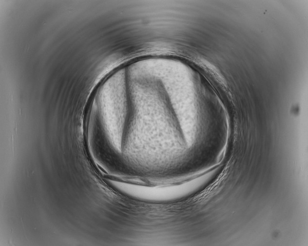 X0000098201226200805081103