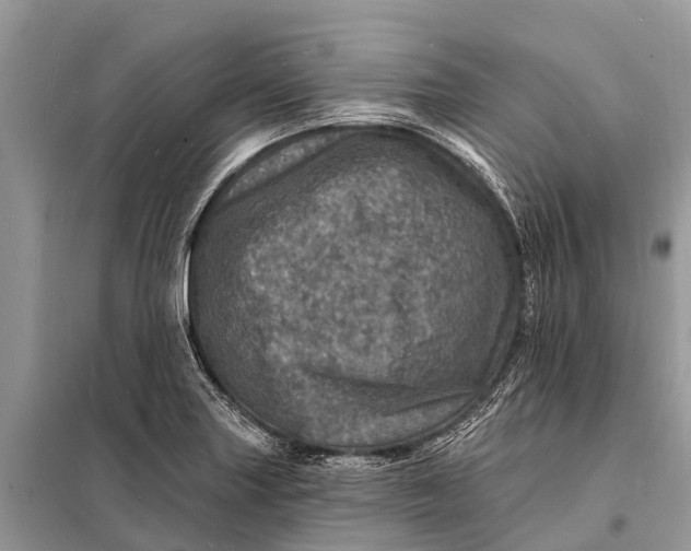 X0000098201227200805081103