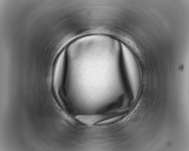 X0000098201228200805081103