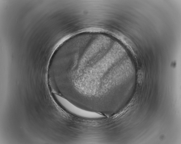 X0000098201229200805081103