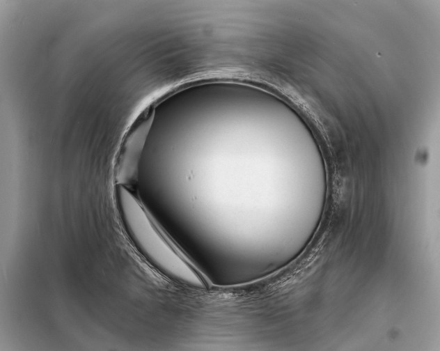 X0000098201230200805081103