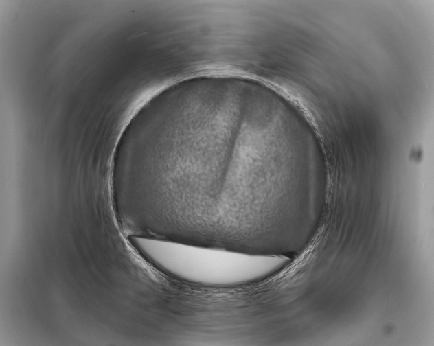 X0000098201231200805081103