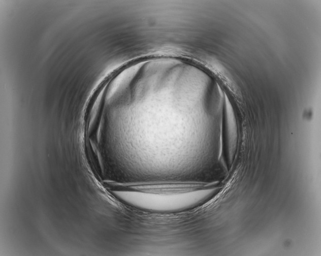 X0000098201232200805081103