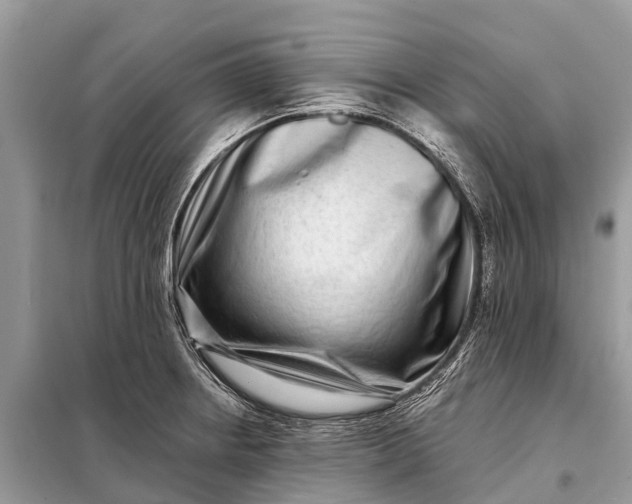 X0000098201234200805081104