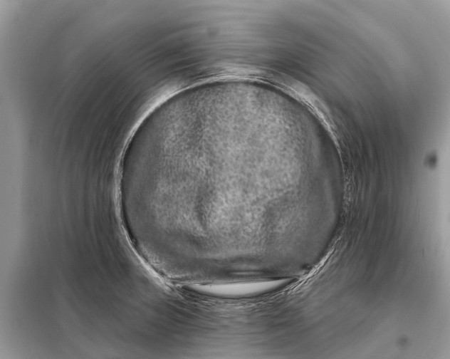 X0000098201235200805081104