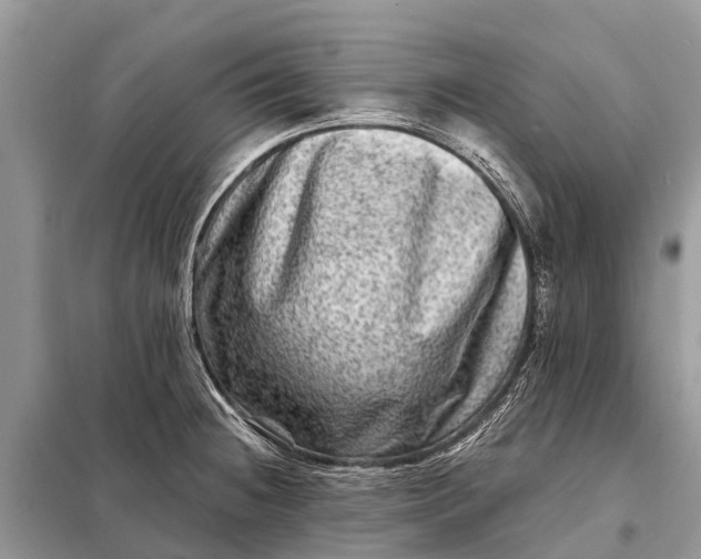 X0000098201236200805081104