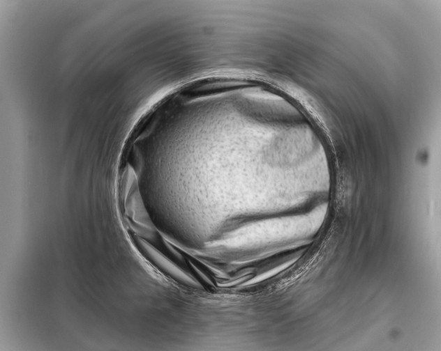 X0000098201237200805081104