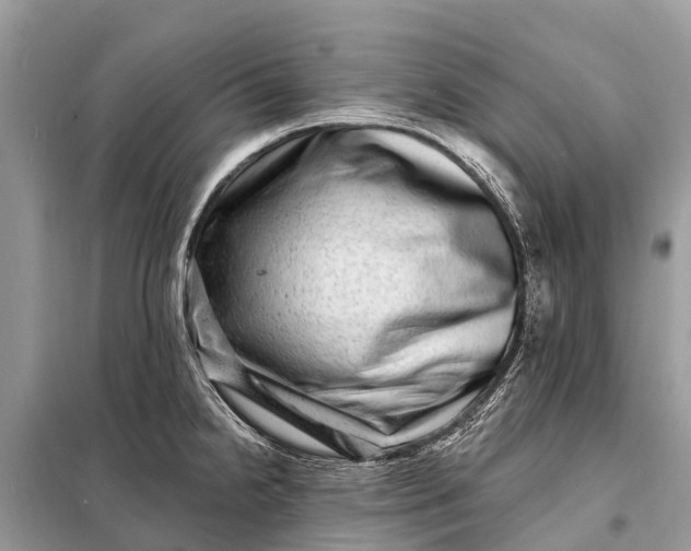 X0000098201238200805081104