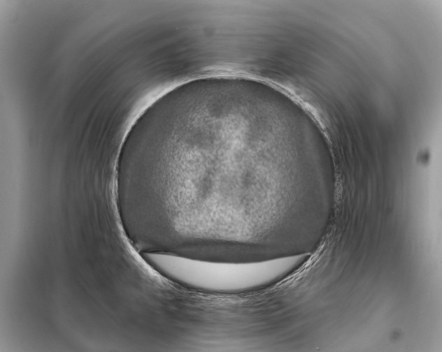 X0000098201239200805081104