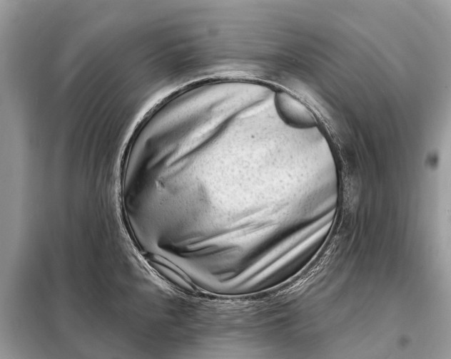 X0000098201240200805081104