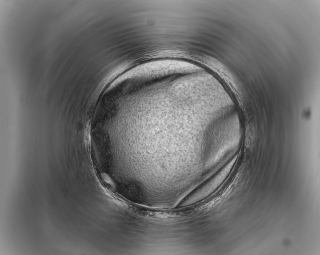 X0000098201241200805081104