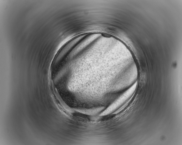 X0000098201242200805081104