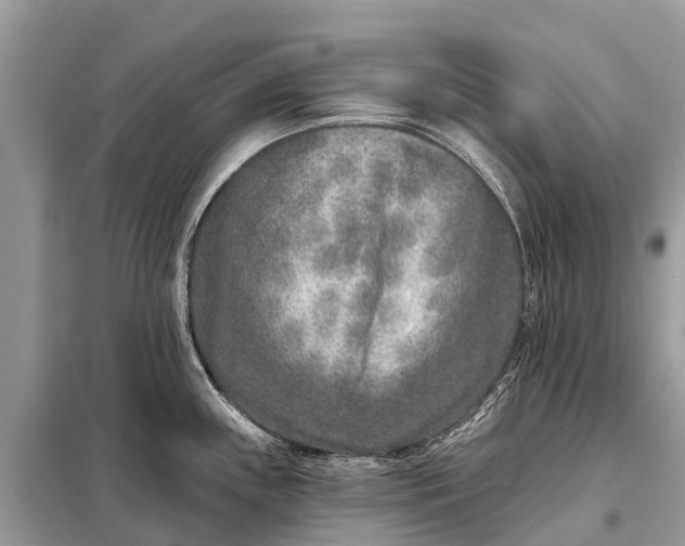 X0000098201243200805081104