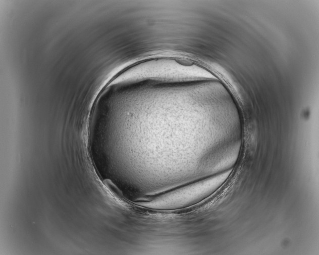 X0000098201244200805081104