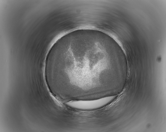 X0000098201245200805081104