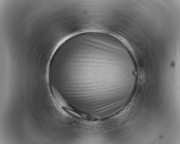 X0000098201246200805081104
