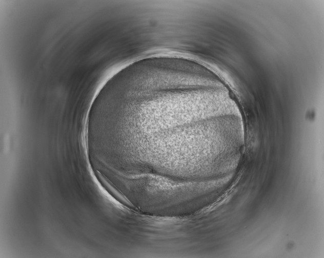 X0000098201247200805081104