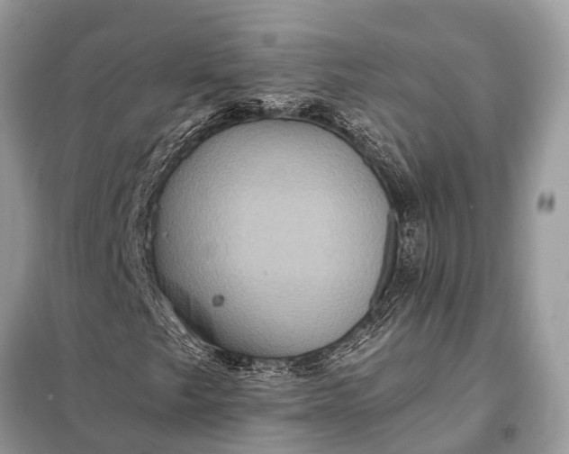 X0000098201249200805081103