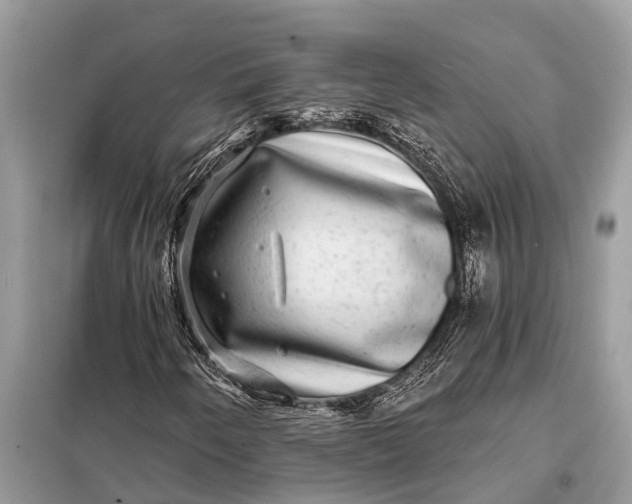 X0000098201250200805081103