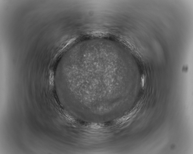X0000098201251200805081103