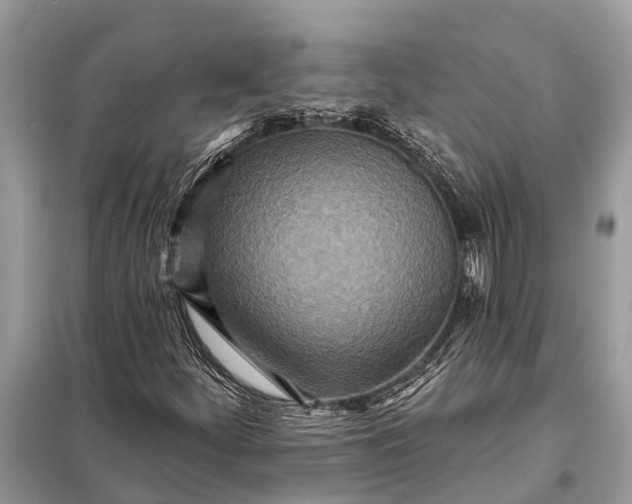 X0000098201252200805081103