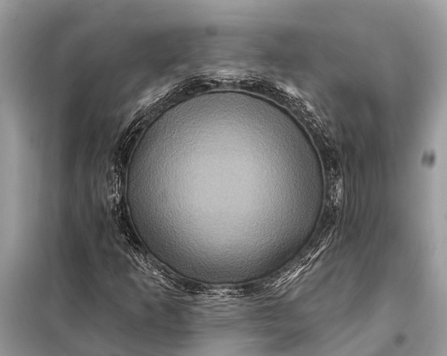 X0000098201253200805081103