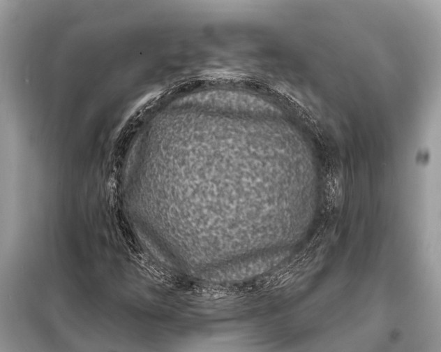 X0000098201254200805081103