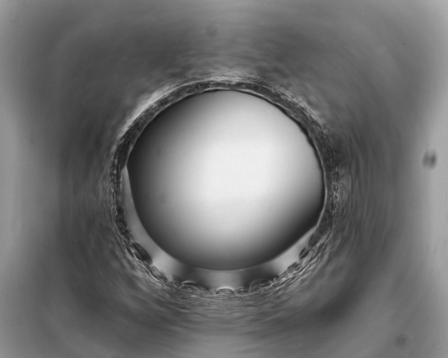X0000098201256200805081103