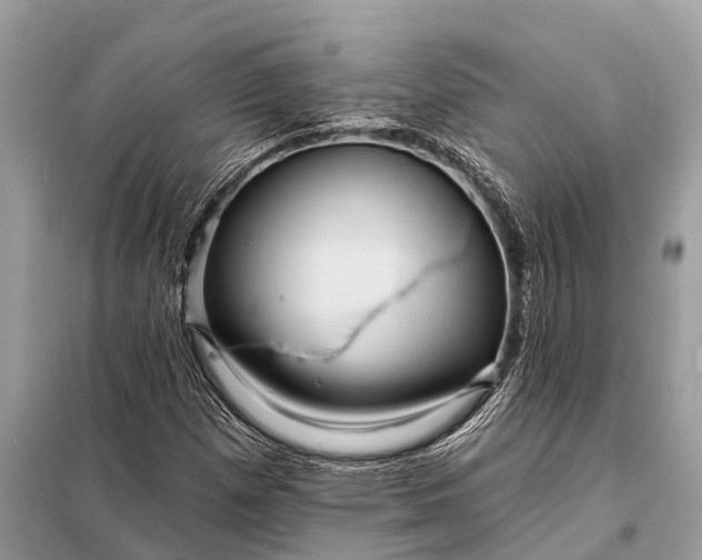 X0000098201257200805081103