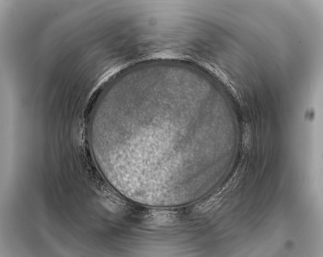 X0000098201258200805081103