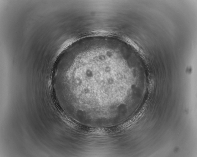 X0000098201259200805081103