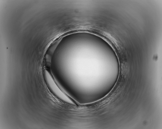 X0000098201260200805081103