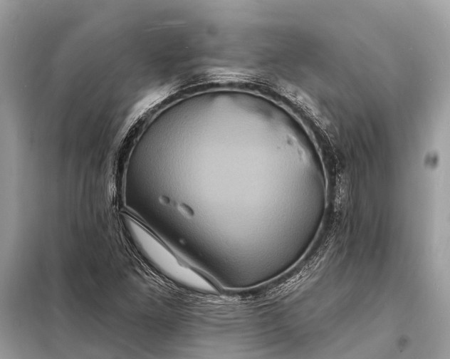 X0000098201261200805081103