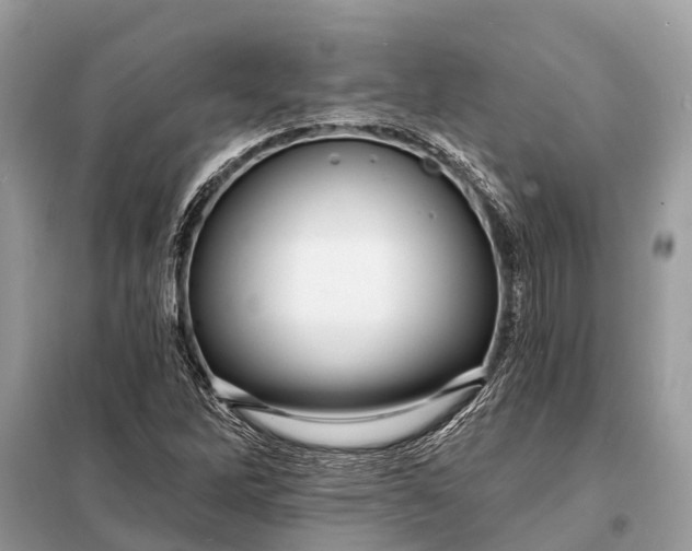 X0000098201262200805081103